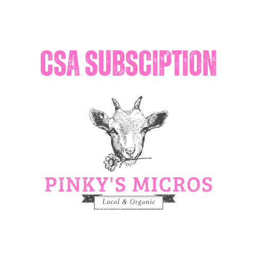 CSA Subscription