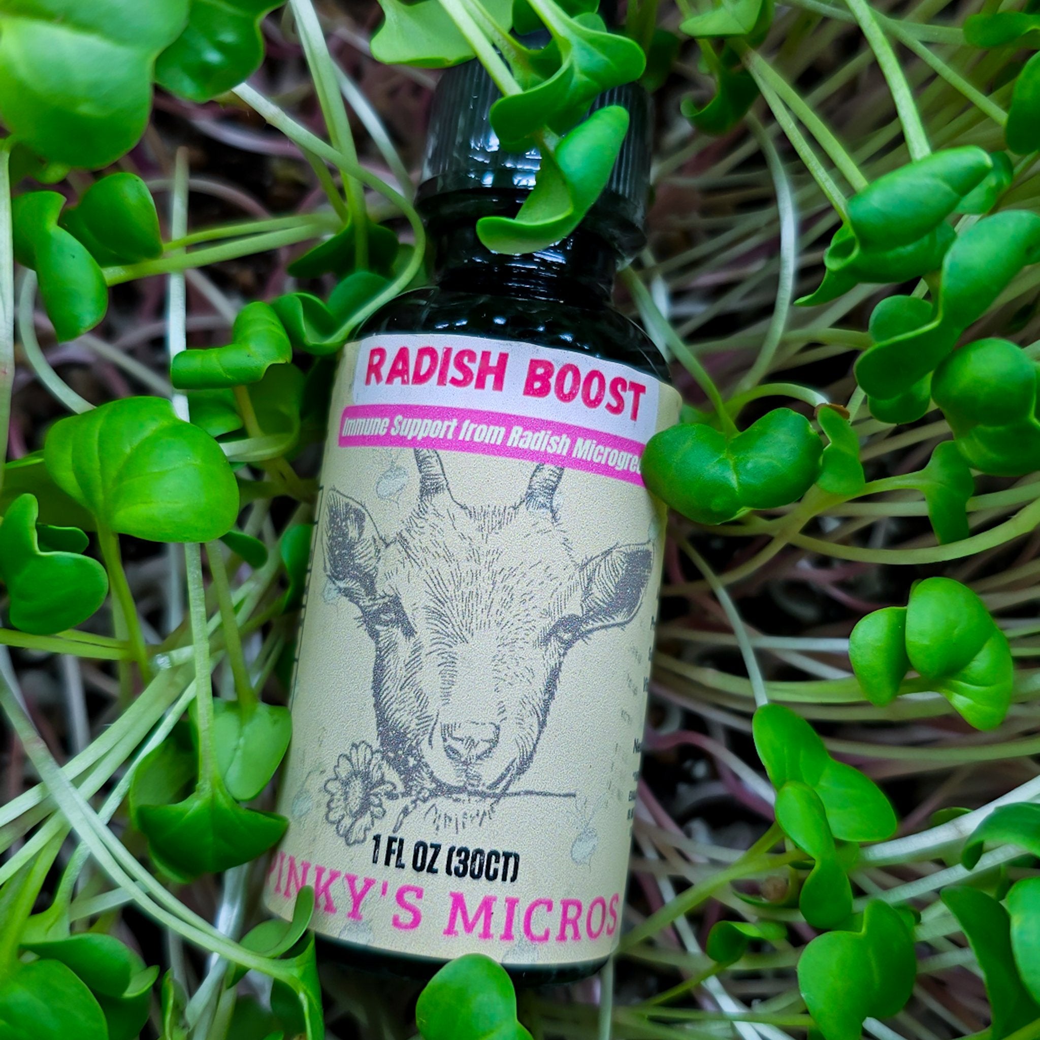 Radish Boost Tincture