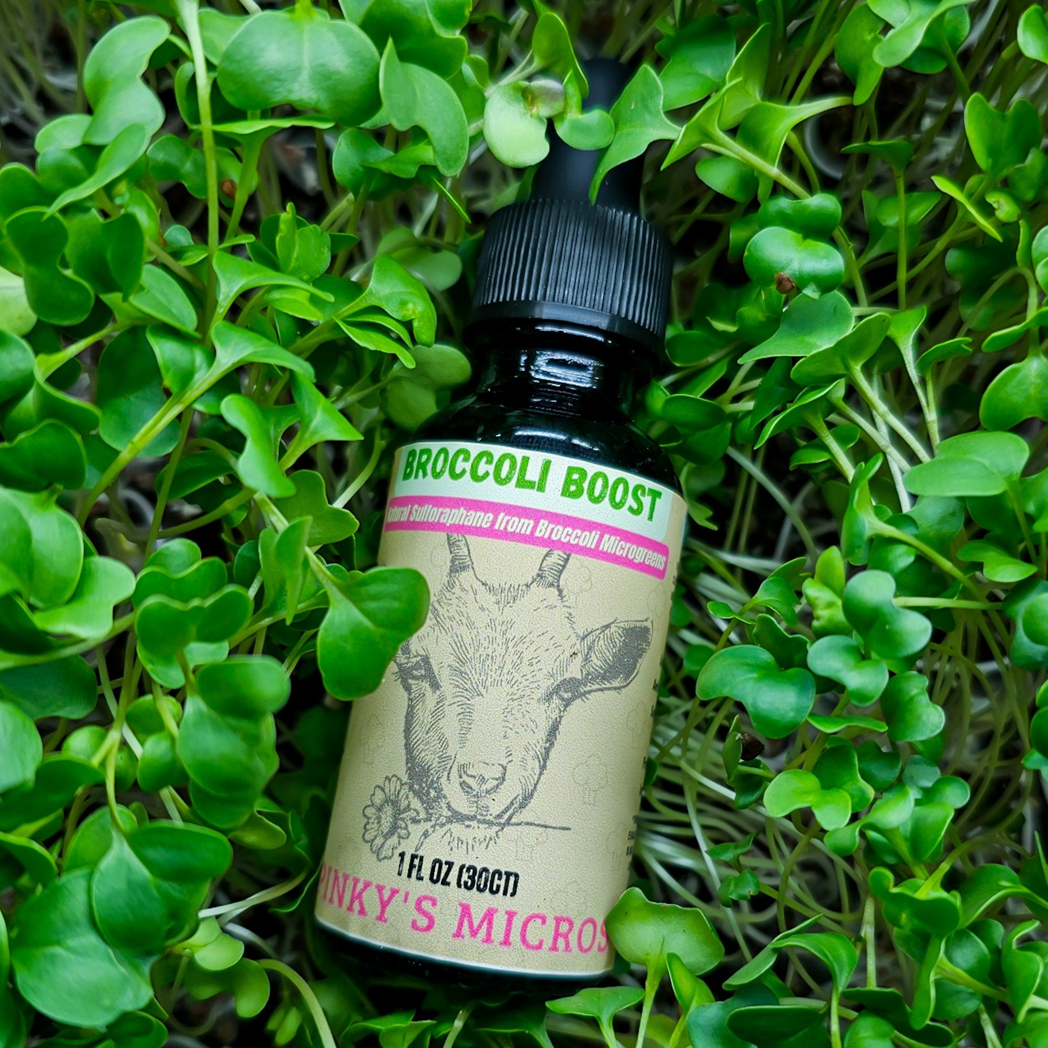 Broccoli Boost Tincture